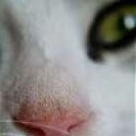 SUZA